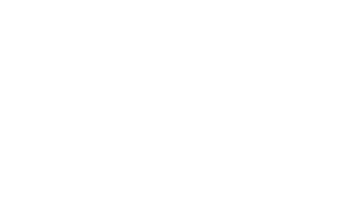 Tradewise Global Investments